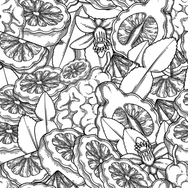 Бесшовный узор из графических фруктов, листьев и цветов бергамота — стоковый вектор