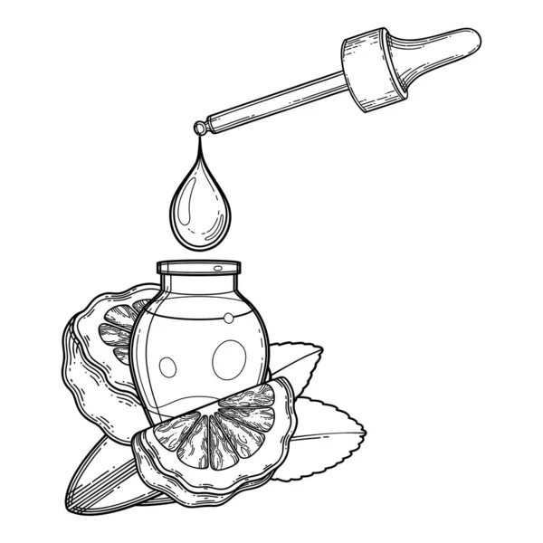Graphic oljedroppe droppar från dropper i den lilla glasflaskan dekorerad med bergamott frukter och blad — Stock vektor