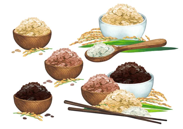 Patrón de composiciones sin costura de acuarela con tres tipos de granos de arroz y plantas —  Fotos de Stock