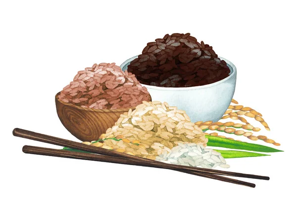 Akvarelové složení různých druhů rýže, misek, tyčinek a obilovin — Stock fotografie