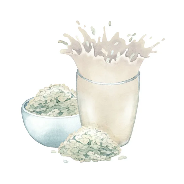 수채 식물은 그릇과 쌀 한 움큼으로 장식 한 유리에 물을 튀기는 우유를 기본으로 하고 있다 — 스톡 사진