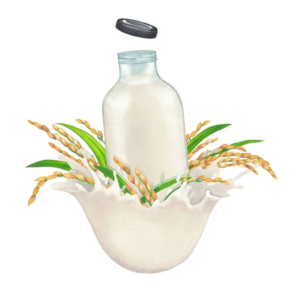 スプラッシュと米で飾られた植物ベースのミルクの水彩ガラス. — ストック写真