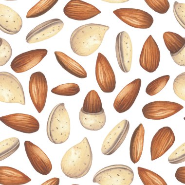 Soyulmamış ve soyulmamış badem desenli suluboya.