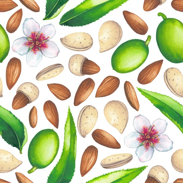 Υδατογραφία αδιάλειπτη μοτίβο από αμύγδαλα, φύλλα φρούτων και λουλούδια — Φωτογραφία Αρχείου