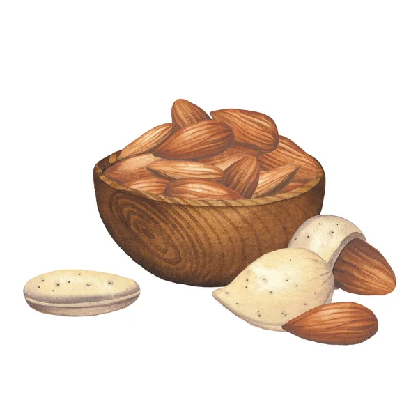 Akvarel miska mandlové ořechy izolované na bílém pozadí — Stock fotografie