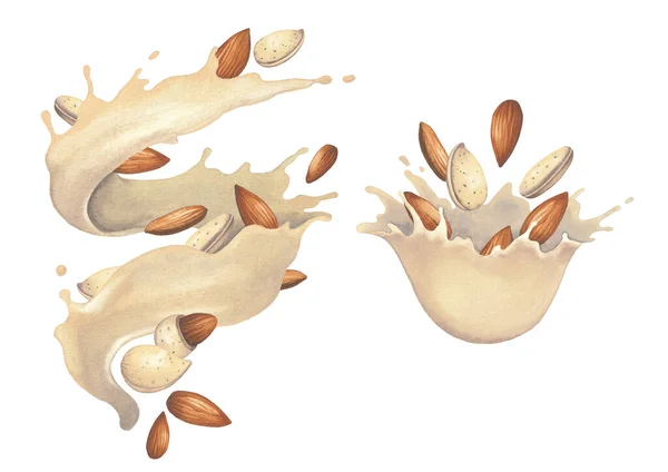 Aquarelverf spatten van plantaardige melk met amandelnoten. — Stockfoto
