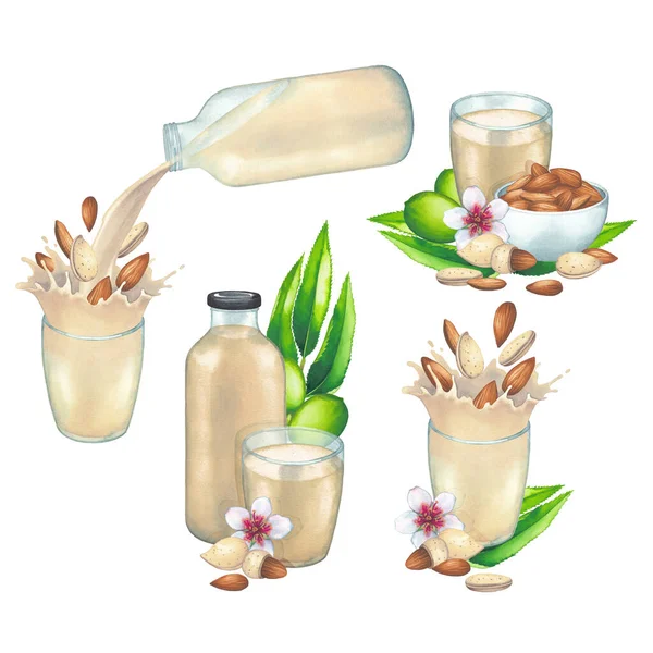 Коллекция акварели растительного молока в стаканах и бутылках, украшенных чашами, миндалем — стоковое фото