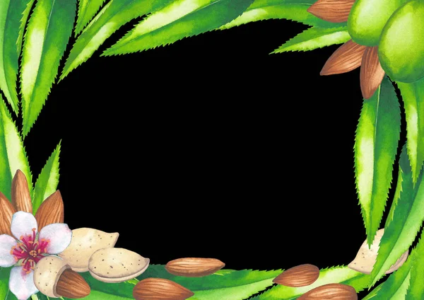 Akvarelldesign med mandelnötter, frukter, blommor och blad. — Stockfoto