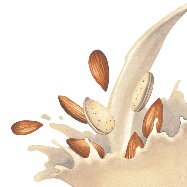 Acquerello spruzzata di latte e mandorle isolato sullo sfondo bianco — Foto Stock
