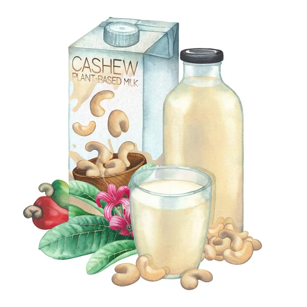 Akvarelová krabička z rostlinného mléka zdobená sklem, lahví, kešu ořechy a rostlinami — Stock fotografie