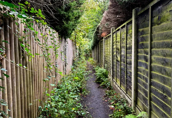 Vahşi yeşillik ve değişen ışık tarafından çerçevelenmiş çitli kenarlar arasında dar bir yol. Derinlik gözün Ben Rhydding, Ilkley, İngiltere 'deki uzak ağaçlara doğru ilerlemesiyle artar.