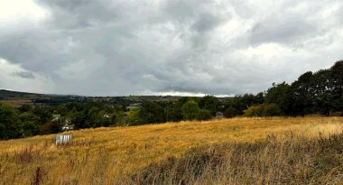 Karanlık ve kara bulutlarla dolu dramatik bir gökyüzü altında uzanan engin bir altın çim tarlası. Ağaçlar ufuk çizgisinde, olay yerine derinlik katıyor. Ilkley, Yorkshire, İngiltere yakınlarında.