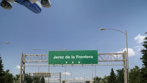 飞机降落在Jerez de la Frontera — 图库视频影像