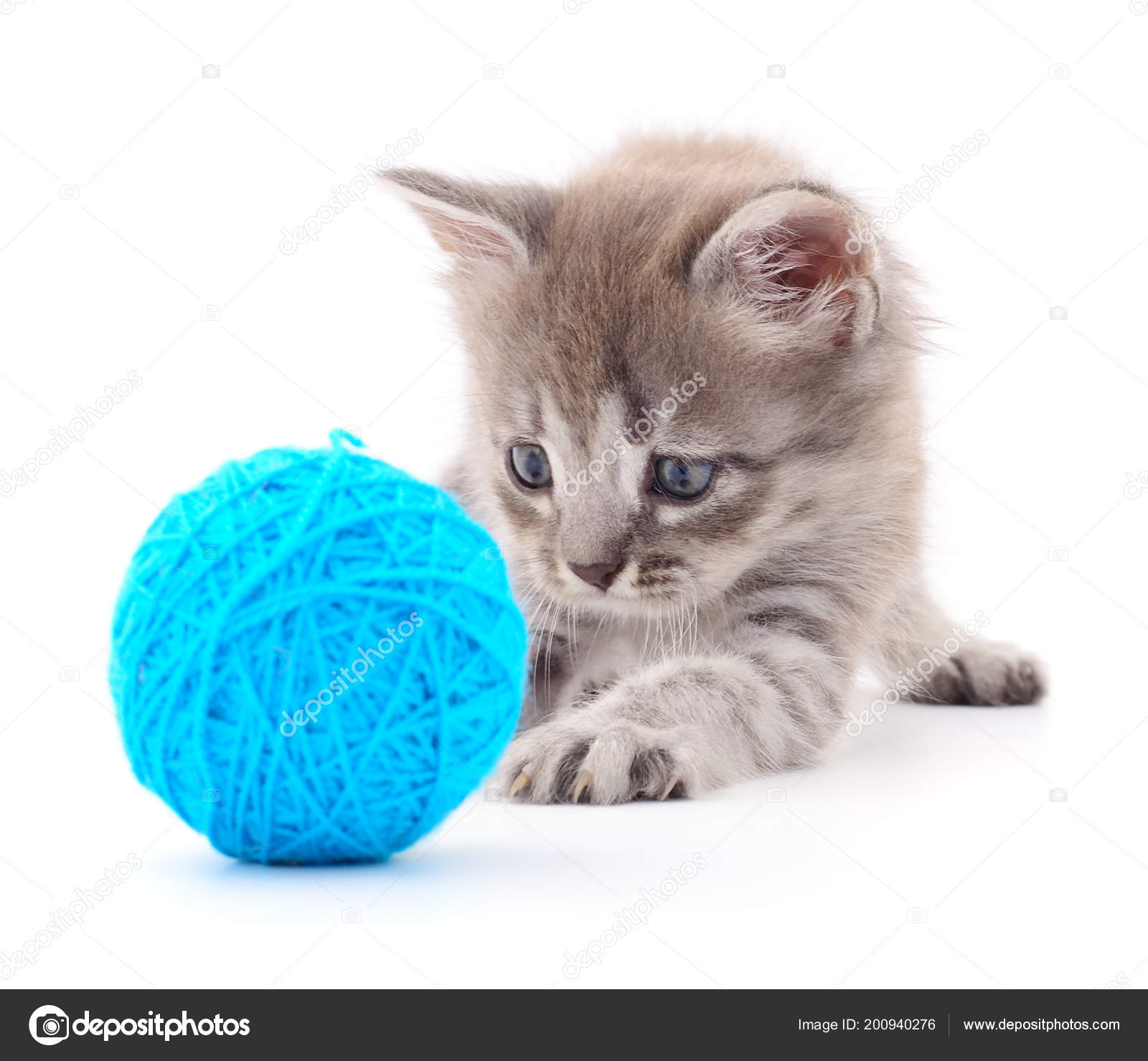 kitten ball of yarn