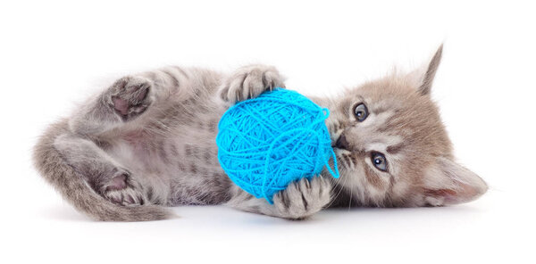Kitten with ball of yarn isolated on white background.