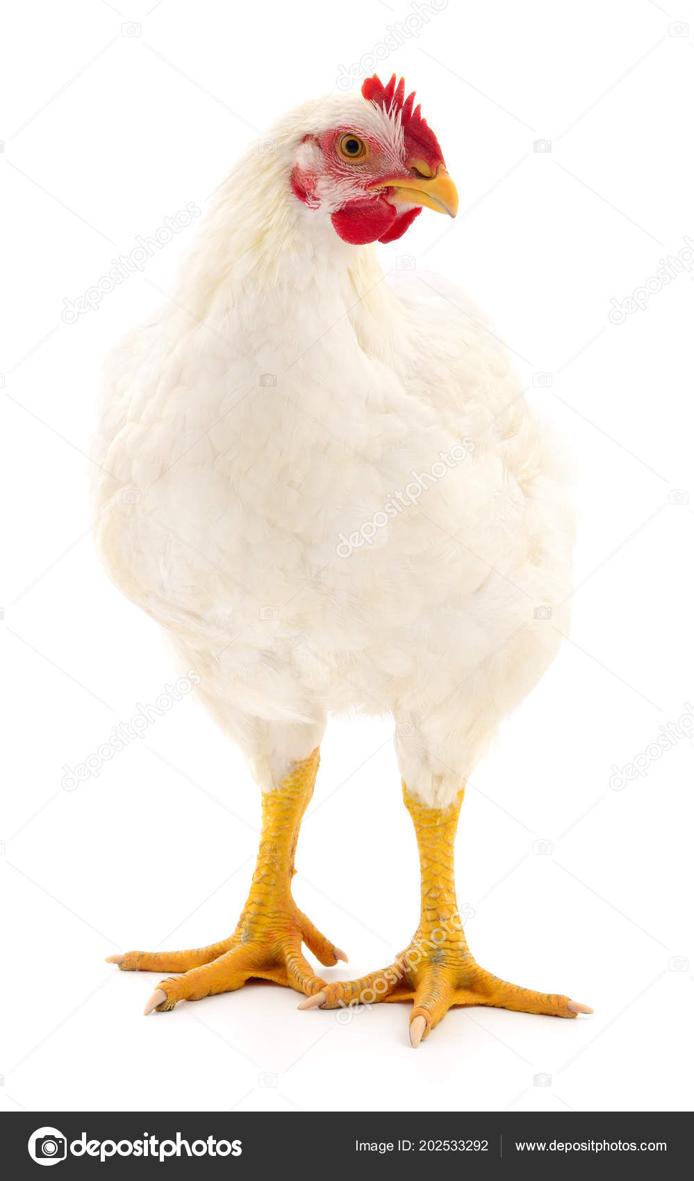 바탕에 — 스톡 사진 © Olhastock #202533292, image size:999x1700