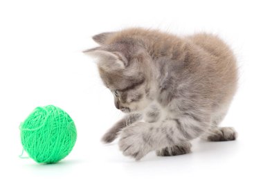 Beyaz arka planda izole edilmiş iplik yumağıyla kedi yavrusu.