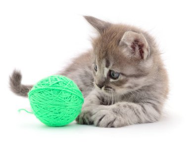 Beyaz arka planda izole edilmiş iplik yumağıyla kedi yavrusu.