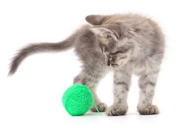 Beyaz arka planda izole edilmiş iplik yumağıyla kedi yavrusu.