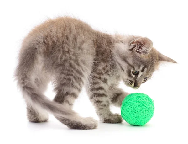 Kitten Ball Yarn Isolated White Background — Stock Photo, Image
