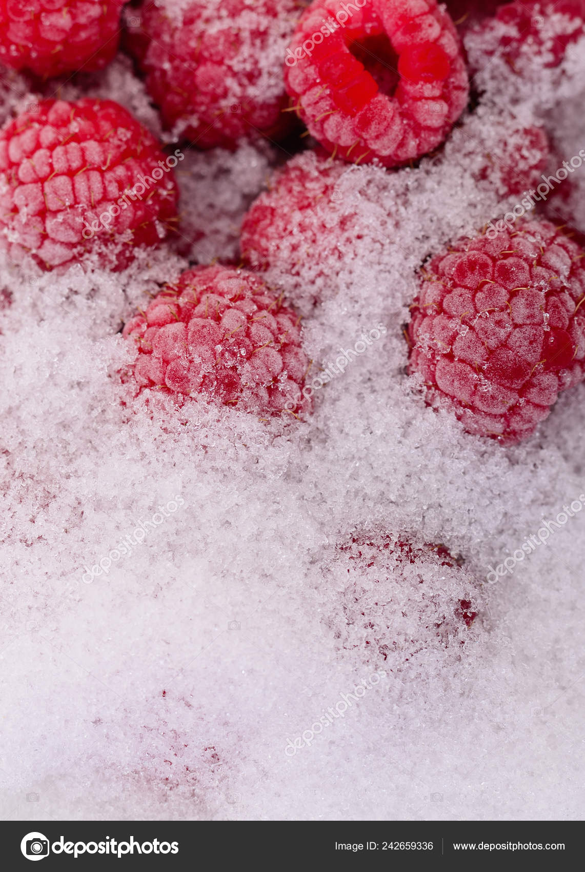 Group Frozen Raspberries White Snow — Stock Photo © Olhastock #242659336
