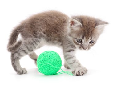 yavru kedi yumağı ile.