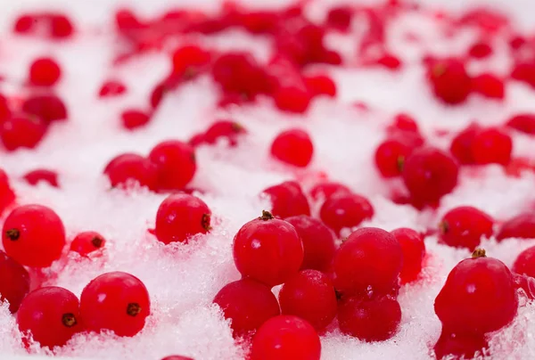 Frozen red currant berries. Royalty Free Stock Photos