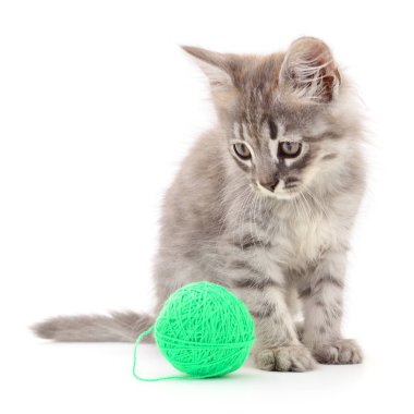 yavru kedi yumağı ile.