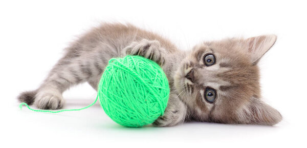 Kitten with ball of yarn isolated on white background.