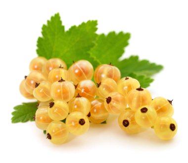 Beyaz arka planda yeşil yapraklı üzümler.