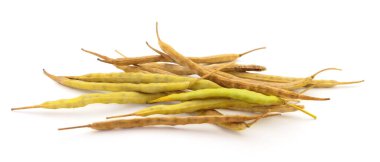 Beyaz arka planda izole edilmiş kuru kapsüllere tecavüz.