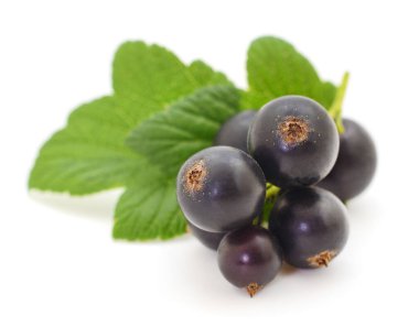 Beyaz arka planda yaprakları olan siyah üzümler..