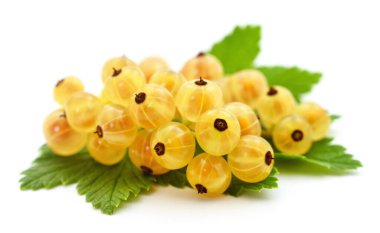 Beyaz arka planda yeşil yapraklı üzümler.