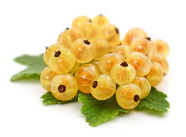 Beyaz arka planda yeşil yapraklı üzümler.