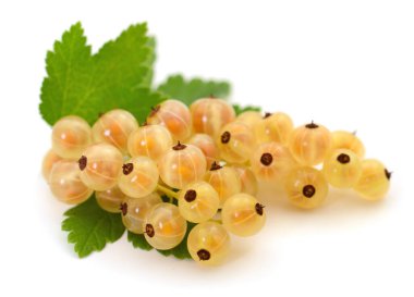 Beyaz arka planda yeşil yapraklı taze kuşüzümü. Sağlıklı gıda, organik meyve, yaz hasadı, vitaminler ve doğal diyet kavramı