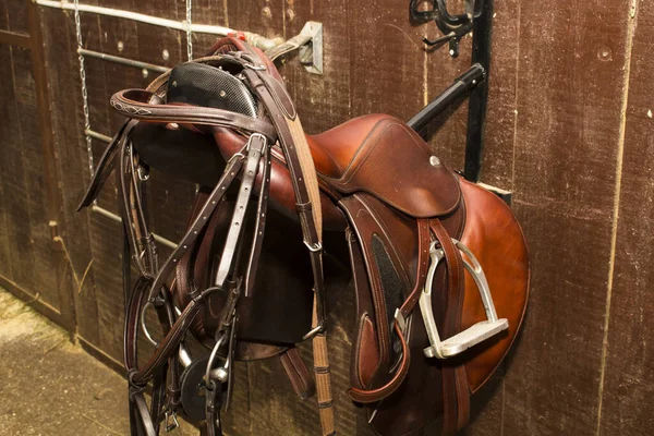 Leather bridle hanging on the back of the bow Jumping saddle, one set — Stock Photo, Image