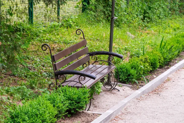 En tom bänk i morgonparken, mitt i ett löpband och träd, dekorativa buskar och lite bankad pilla — Stockfoto