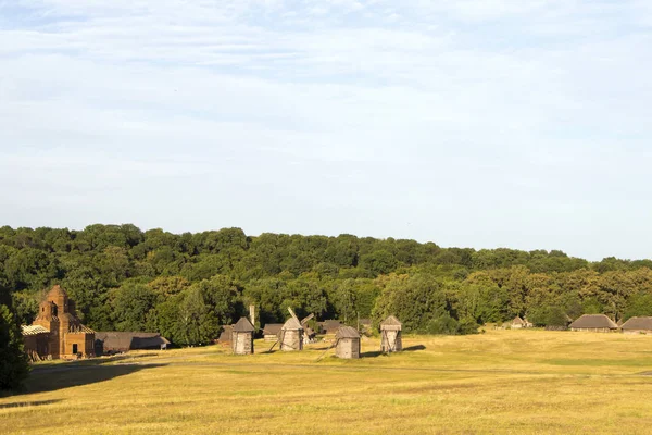 Kilátás az ősi fából készült szélmalmok és lakóépületek egy falu település a háttérben az erdő — Stock Fotó