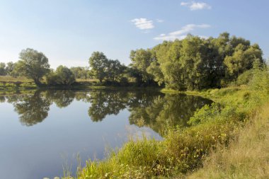Gölün kıyısındaki ağaçlar