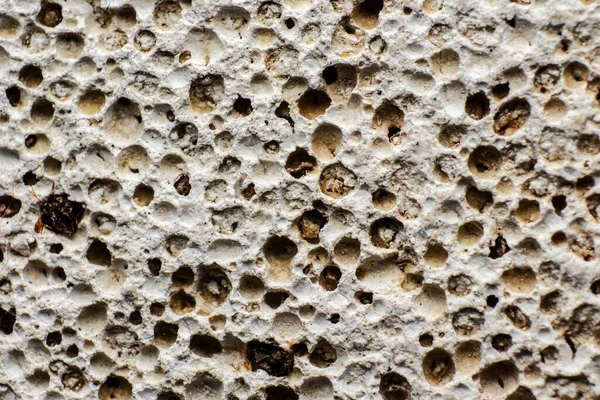 Macro Photography Porous Stone Texture Close Sponge Bathroo — Stock Photo, Image