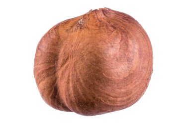 Beyaz arka planda izole edilmiş bir fındık, yakın plan, detaylı ceviz kabuğu dokusu, makro fotoğraf.