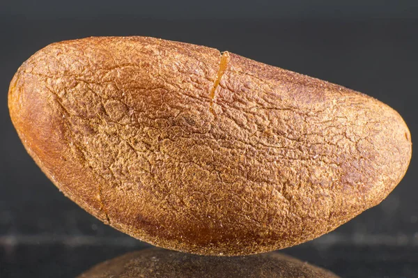 暗い灰色の背景をした単一のブラジルナッツ 極端な近距離 詳細なクルミの肌の質感 マクロ写真 — ストック写真