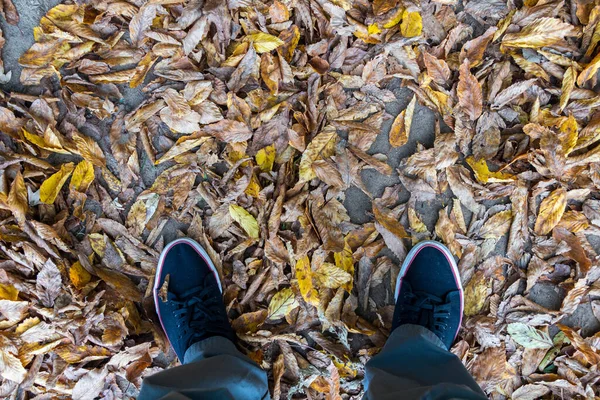 feet on the ground covered with fallen autumn leave