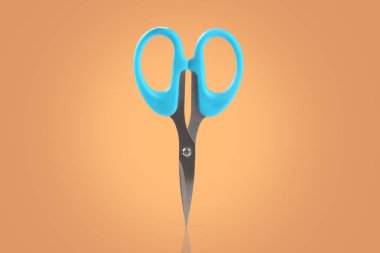 Hint yapılmış paslanmaz çelik makas