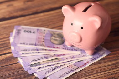 Hint 100 rupisi ve kumbarası.