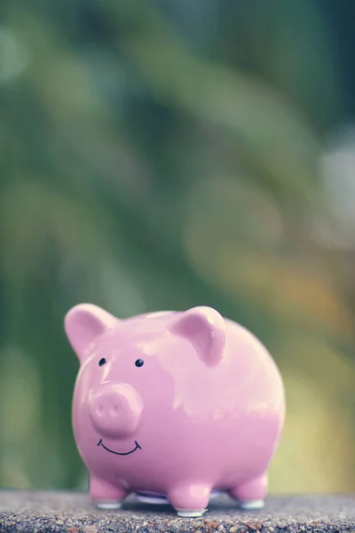 Piggy Bank Conceito Economia Dinheiro — Fotografia de Stock