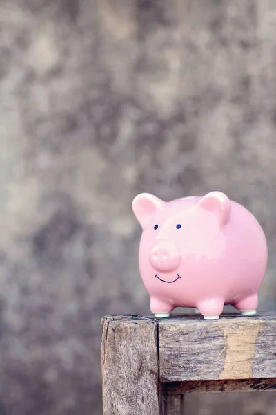 Piggy Bank Conceito Economia Dinheiro — Fotografia de Stock