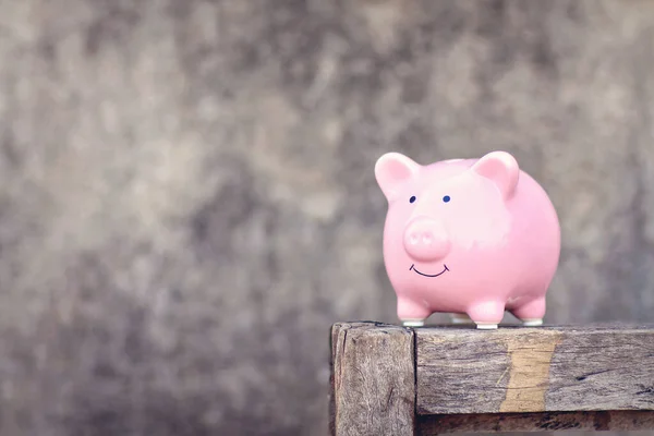 Piggy Bank Conceito Economia Dinheiro — Fotografia de Stock