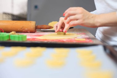 Genç eller modern mutfakta zencefil hamuru kesiyor, yemek konsepti