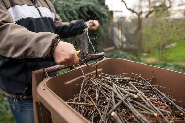 Старший человек срезает ветки от дерева до органического компостного контейнера, концепция садоводства — стоковое фото